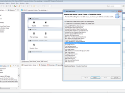 Actuate BIRT Designer Pro Data Connectors