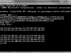 OpenSSL for Windows Screenshot 1
