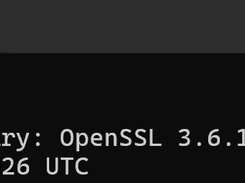 OpenSSL 3.6.1