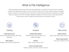 OpenText File Intelligence Screenshot 1
