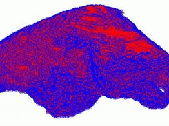 Real CT-Scan segmented liver results for surface inference.