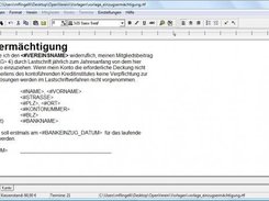 Ansicht RTF-Editor