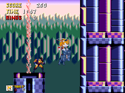 Tails can fly with your friends!