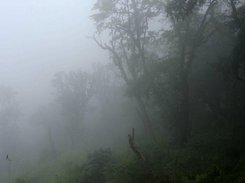 Another version of mist...