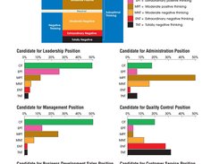 Optimal Thinking 360 Assessment Screenshot 1