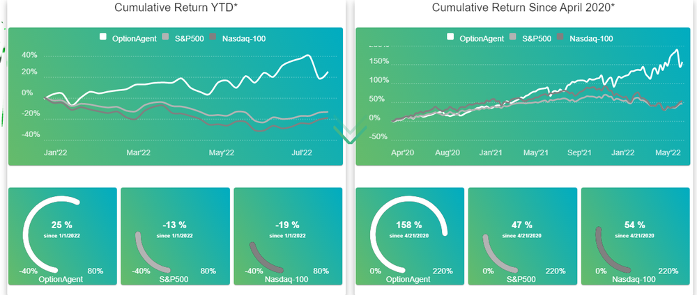 OptionAgent.ai Screenshot 1