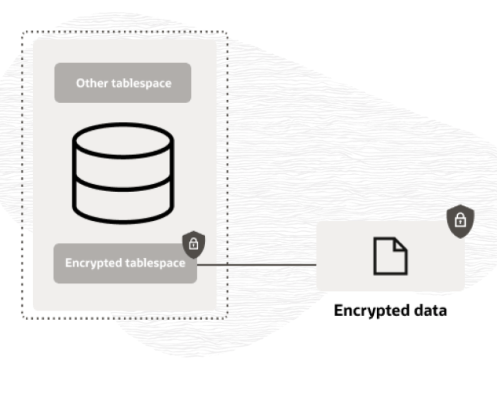 Oracle Advanced Security Screenshot 1