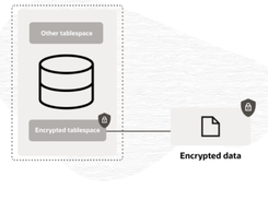 Oracle Advanced Security Screenshot 1