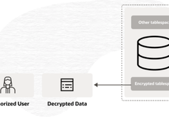 Oracle Advanced Security Screenshot 3