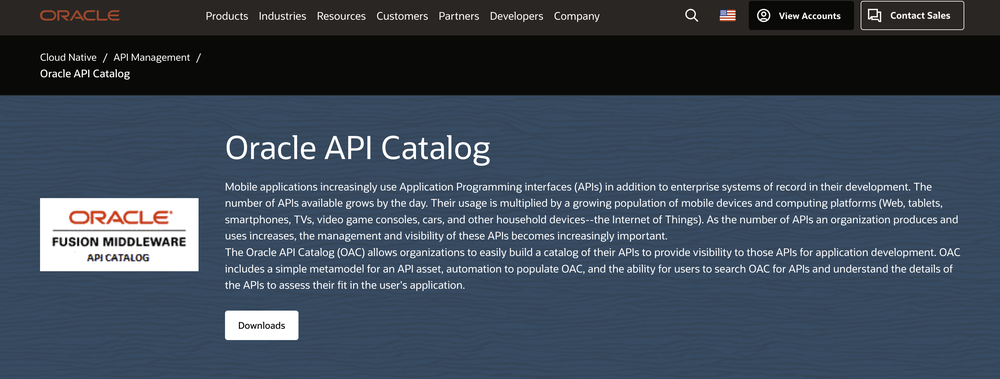 Oracle API Catalog Screenshot 1