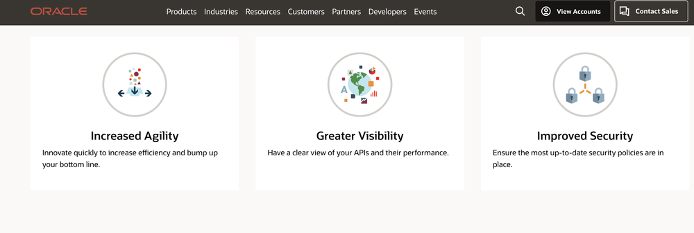 Oracle API Management Screenshot 1