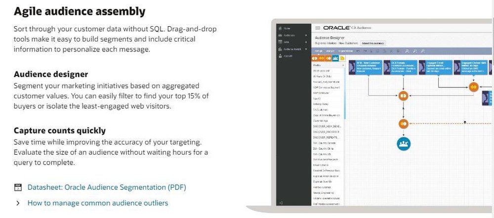 Oracle Audience Segmentation Screenshot 1