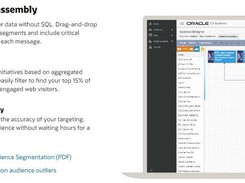 Oracle Audience Segmentation Screenshot 1