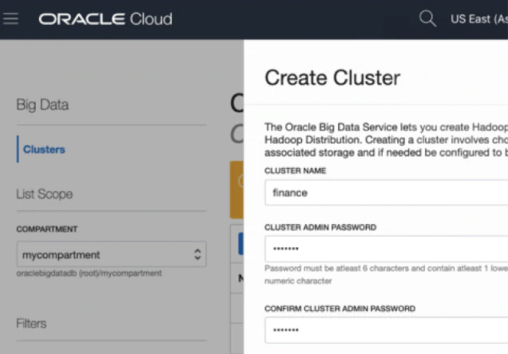 Oracle Big Data Service Screenshot 1