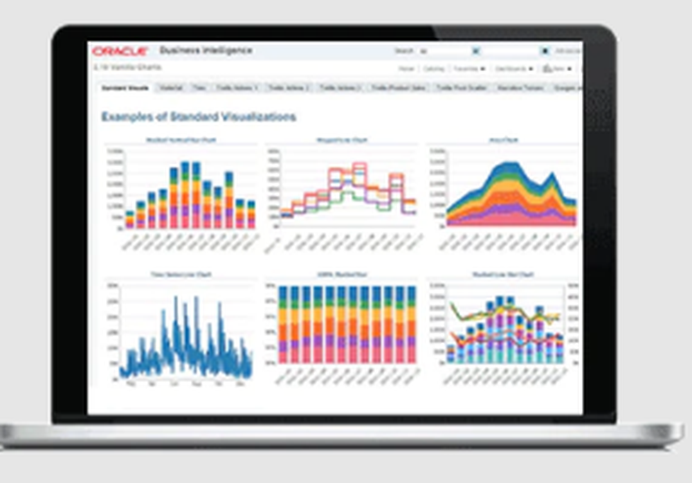 Oracle Business Intelligence (OBIEE) Screenshot 1