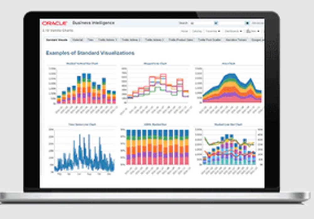 Oracle Business Intelligence Screenshot 1