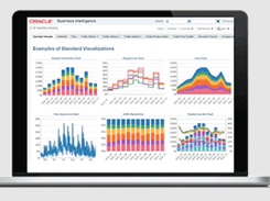 Oracle Business Intelligence (OBIEE) Screenshot 1