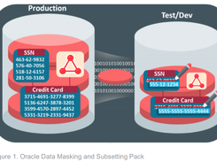 Oracle Data Masking and Subsetting Screenshot 1