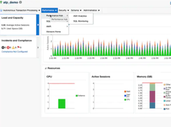 Oracle Enterprise Manager Screenshot 1