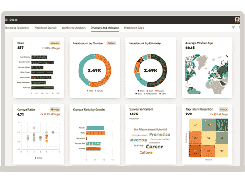 Oracle HR Analytics Screenshot 1