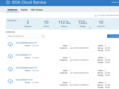 Oracle SOA Screenshot 1