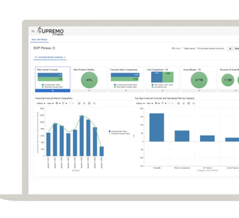 Oracle S&OP Screenshot 1