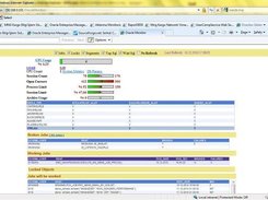 Oracle Monitor Screenshot 2