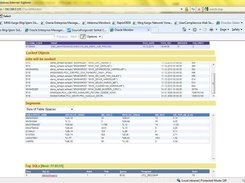 Oracle Monitor Screenshot 3