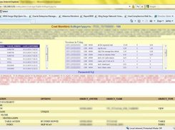 Oracle Monitor Screenshot 1