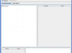 The Main window before connection