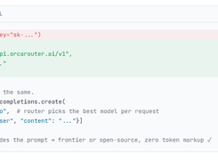 OrcaRouter Screenshot 1