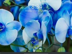 Orchid Studio Desktop