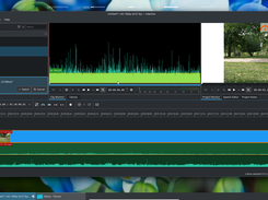 Orchid Studio Video Editing