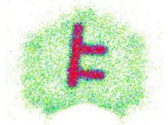 Photons histogram of gamma events from Hicam Gamma Camera