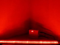 Red light