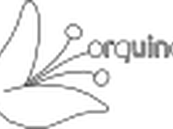 logo orquino