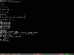 minicmd.exe and sort.exe running on osFree 0.0.4