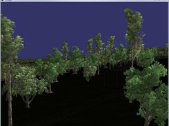 osgSpeedTree Screenshot 2