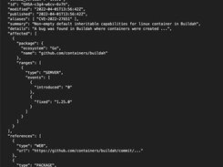 OSV.dev Screenshot 3