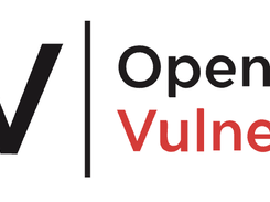 OSV.dev Screenshot 1