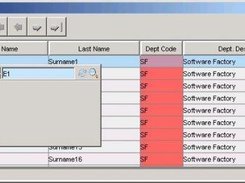 Example of grid frame