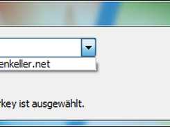 Example Mirror-Search