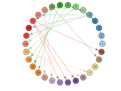 Reconstructed transmission tree