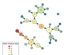 Another reconstructed transmission tree