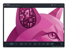 Document Image Zoom