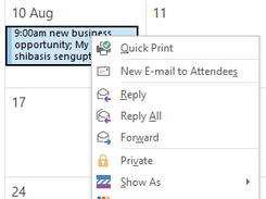 Customized Outlook menu