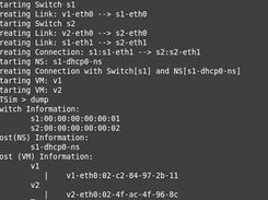 Screen After spawning Virtual Topology