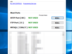 Own Port Scanner Screenshot 1