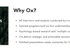 Ox Engine Screenshot 1