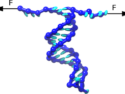 RNA hairpin unzipping